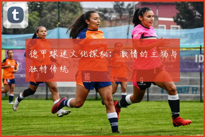 德甲球迷文化探秘:激情的主场与独特传统