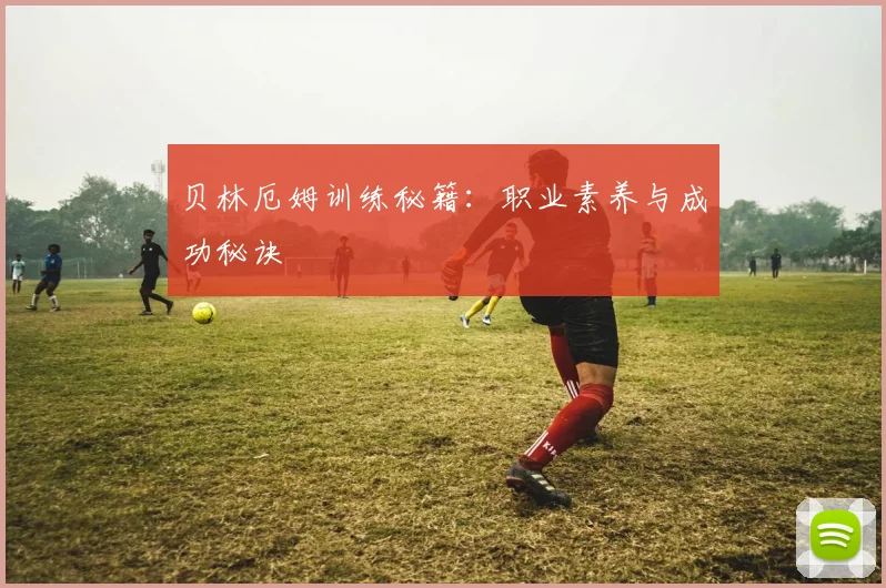 贝林厄姆训练秘籍:职业素养与成功秘诀